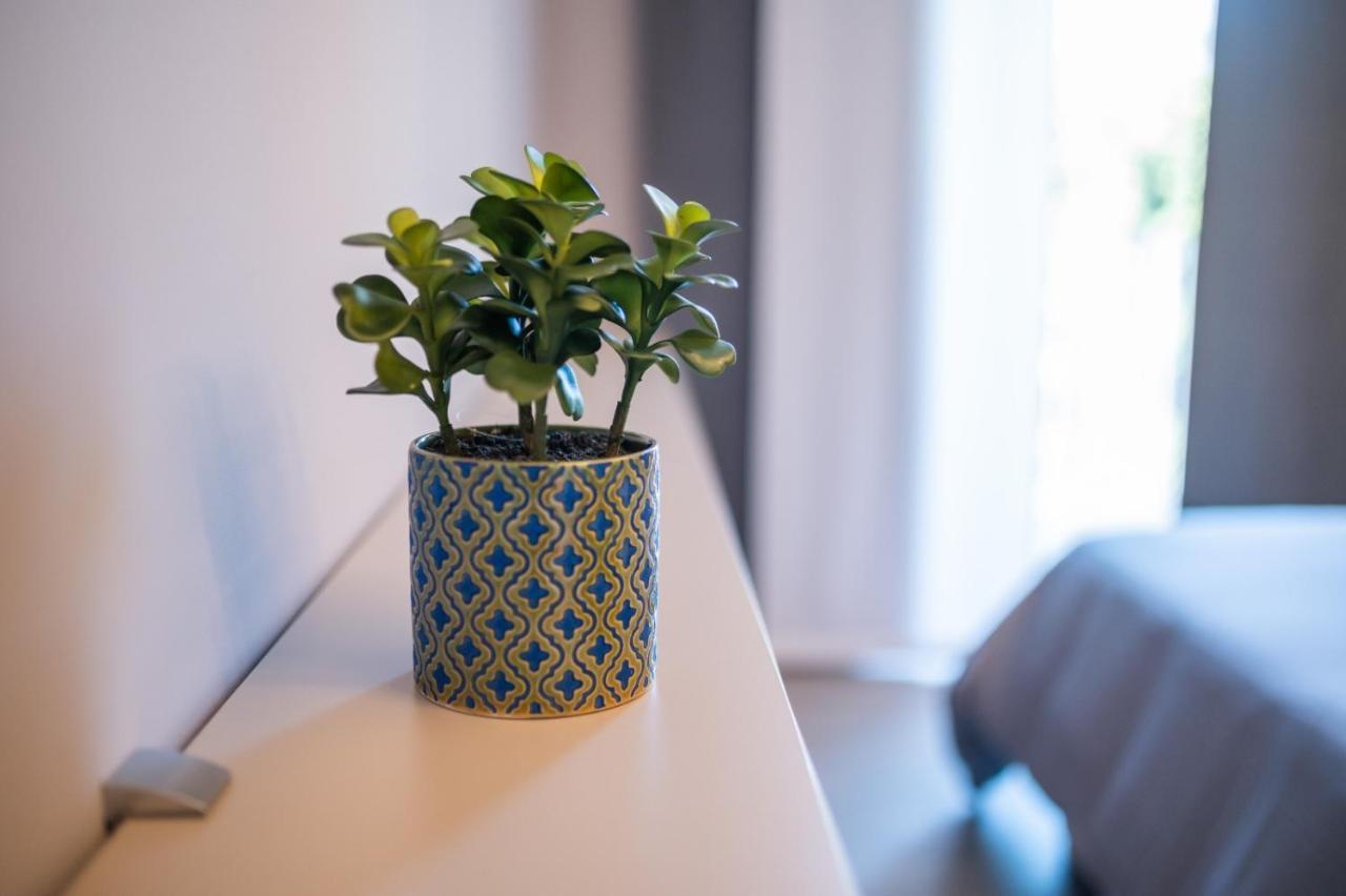 Grey House Guest House Luxury 라티나 외부 사진